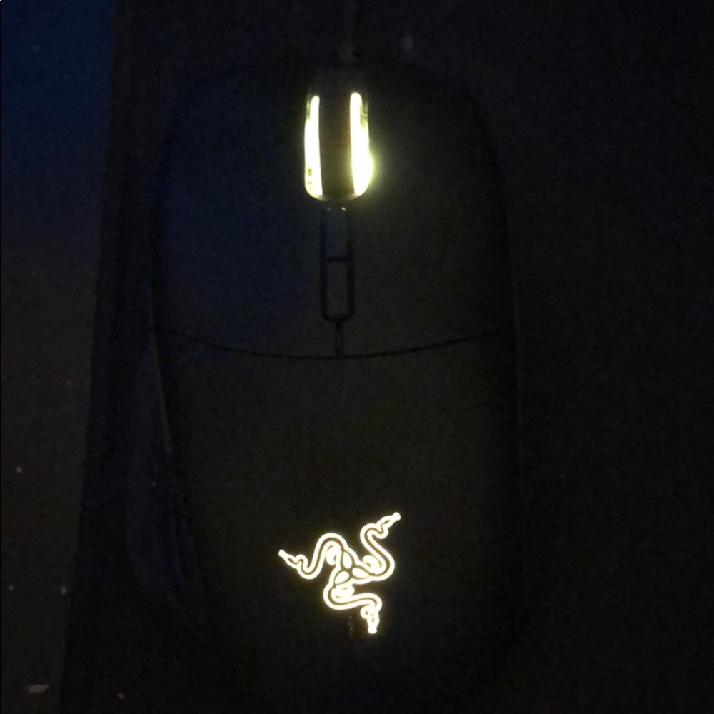 Mouse - Picture 6 of 8